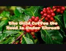 It’s Official, The World’s Favorite Crop, Coffee, Is Dying In The Wild