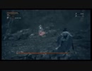 【4んだらショットグラス1杯実況】VSゴースの遺児　追加DLC版聖なるBloodborne Part78