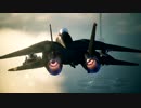 【エースコンバット7】MISSION20 F-14Dリプレイ【1080p】