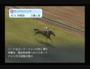 PS2 　ウイニングポストワールド　騎手編