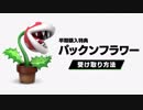 【スマブラSP】早期購入特典『パックンフラワー』の受け取り方
