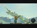 #33【縛り実況】軽めに縛ってハイラルを駆ける【ゼルダの伝説　ブレス オブ ザ ワイルド】　