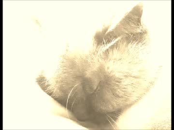 【オリジナル曲】君へ（男声バージョン）