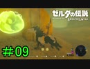 【実況】見落としが多い勇者の冒険part9【ブレスオブザワイルド】