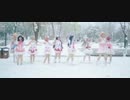 【九色奇迹】sonw  halation