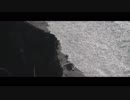 ねこめん - 死んでしまったのだろうか