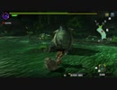 【MHXX】集会所☆４ ロアルドロス戦（渓流＜夜＞）乱入あり 裸ハンマーぼっち縛り上位Part２ ２／２
