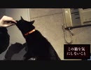 猫との遊び