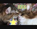 イケアの小型ベッドでおやすみなさい…zzz