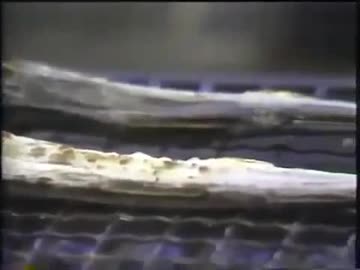 ホモと見る メザシの土光さん
