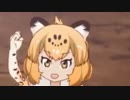 私にジャガーが舞い降りた！