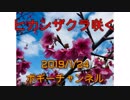 ボギー大佐の言いたい放題　2019年01月24日　21時頃　放送分