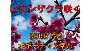 ボギー大佐の言いたい放題　2019年01月24日　21時頃　放送分