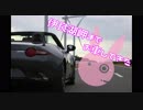 【ゆかり車載】伊良湖岬までお車してきた【NDロードスター】