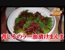 【おとなのねこまんま555】Part256_青じそのラー油漬けまんま