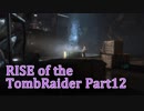 信じられるのは己の知識と肉体のみ…【RISE of the TombRaider実況 Part12