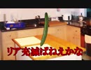 Vtuberきゅうりはリア充に文句があるようです