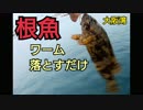 #5 【落とすだけ！】ワームでガシラ(カサゴ)とタケノコメバル【大阪湾ライトゲーム】