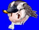 カルガモ先輩BB.Chinese Spot-Billed Duck