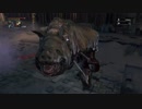 Bloodborne プレイ記録 part23