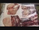 アナグマで見る4つ足の捌き方講座　試食は次回
