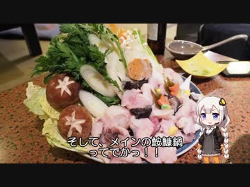 【ninja400】手柄は脚に在り！～年末年始だよ大洗帰省編！～【紲星あかり】