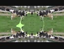 牛ty 2 牛ty