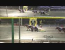 2019年1月26日帯広競馬10R みずがめ座特別(A2-1・2) アアモンドヒューマ