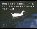 明日への活力を求めて街をやる　3