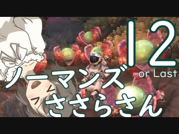 【No Man's Sky】ノーマンズささらさん１２