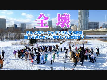 【⑨ぶっ壊れ】全壊チルノのパーフェクトさんすう教室踊ってみたオフ＋冷やしハム太郎始めました。 #チルノオフ