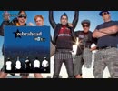 Zebrahead - Blur