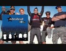 Zebrahead - Into You