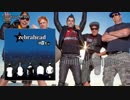 Zebrahead - Alone
