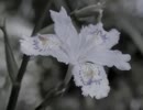 Resistance