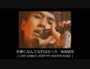 天使になんてなれなかった　WANDS 【 LIVE-JUNK#1 】