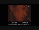 Little Bit ...　WANDS 【 LIVE-JUNK#2 】