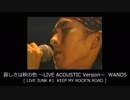 寂しさは秋の色 〜LIVE ACOUSTIC Version〜　WANDS 【 LIVE-JUNK#1 】