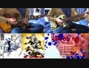 ［TV-size］DOES 『KNOW KNOW KNOW』を弾いてみた［稲野］