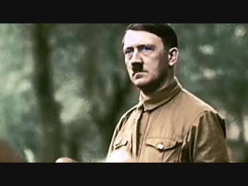 アドルフ・ヒトラー - 銃に関する法律