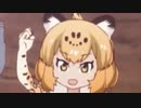 ここ好きの分かるフレンズの ジャパリカフェ ゴールドブレンド