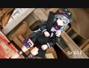 【MMDドルフロ】　G11を紹介する動画