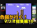 【スーパーマリオブラザーズ】色弱が行く！スーパーマリオ総集編その10【感度５億】