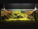 【ゆっくり実況】60LOW水槽立ち上げ　PART1
