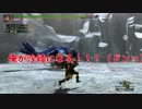 [実況]しょうもない三人のハンター生活　29日目 [MH3G]