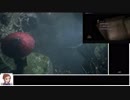 ダークソウル2 トロコンRTA(IGT12'31''19) Part13 丸太レイピアチャート