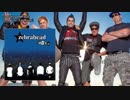 Zebrahead - Dear You (Far Away)