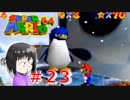 【マリオ64】大好きな箱庭マリオの原点なワケだが、じつは【初見実況】part２３