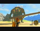 【下手くそプレイ実況】ゼルダの伝説ブレスオブザワイルド　part27