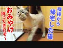猫が咥えて持ち帰ってきた獲物に驚きと困惑が隠せません…